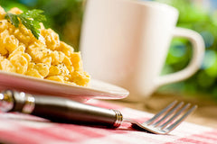 Saratoga Farms Freeze Dried Scrambled Eggs